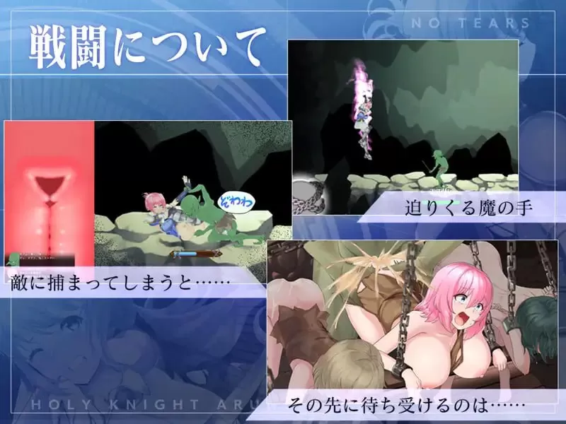 【ACT/生肉/中文/动态/CV】圣骑士阿尔涅与魔孕的咒印～Another No Tears～V1.0.5【PC/4.37G】