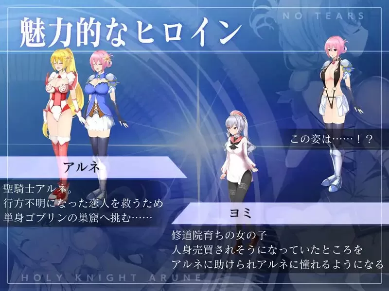 【ACT/生肉/中文/动态/CV】圣骑士阿尔涅与魔孕的咒印～Another No Tears～V1.0.5【PC/4.37G】