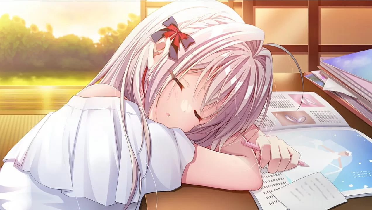【ADV/AI汉化/CV/存档】流星 FDv1.1【PC/2.0G】